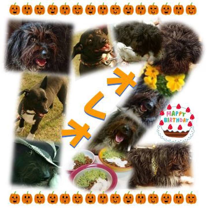 65a3fbc2 6d46 492c a96e 15b30244db36 1536704313635