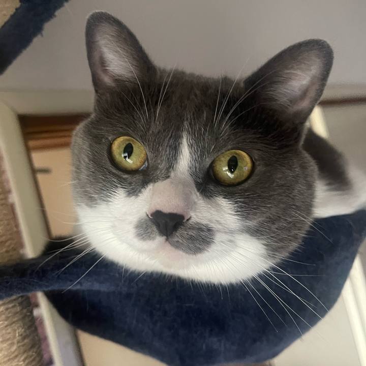 65a41347 b5e1 4fe6 9bc8 8ba5da2d4626 1688854492816