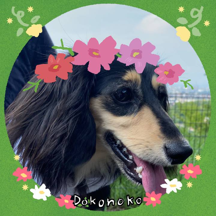 65a46428 9655 4a34 ab08 5b6a7658b3cf 1726919076514