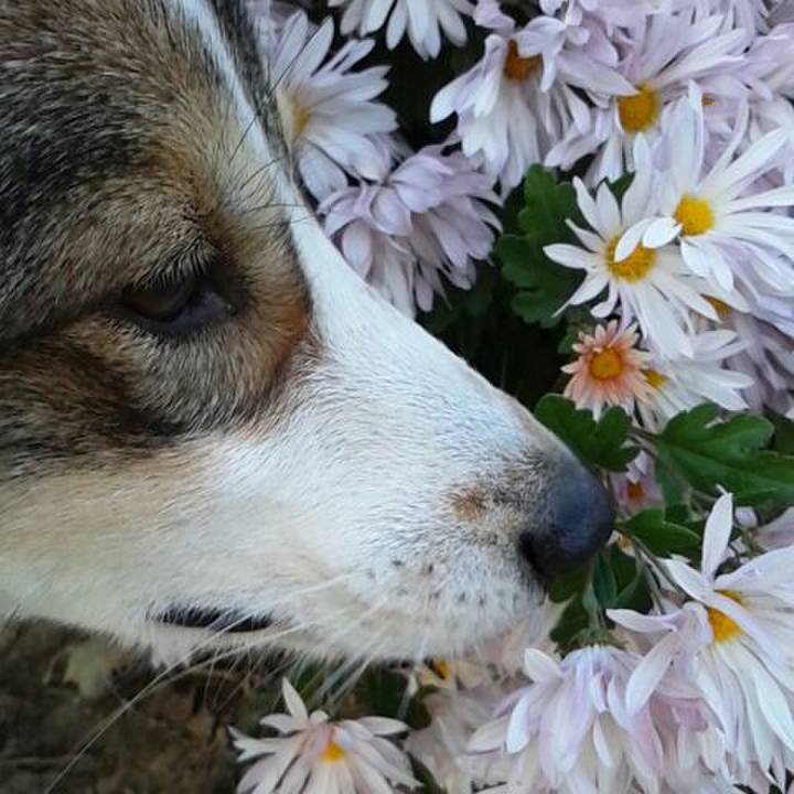 65a464b7 0b01 42a4 b690 b8e06d29921e 1511704439312