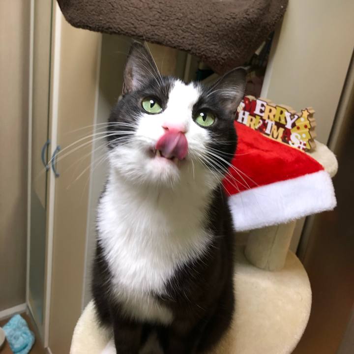 65a48b45 d7c6 4fb7 bd4d aa878f64db72 1545650589619