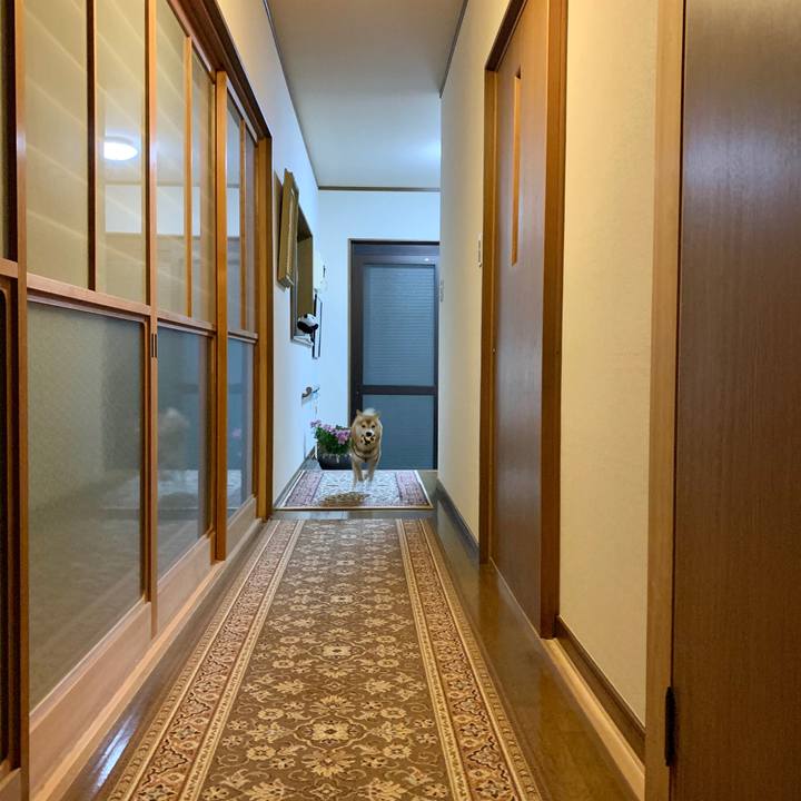 65a4e4db 6bb4 495f a522 ad802ad31643 1578827750317