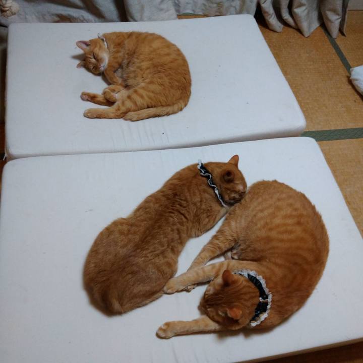 65a4f51f 4895 4521 9df1 418cf9899417 1601204529168