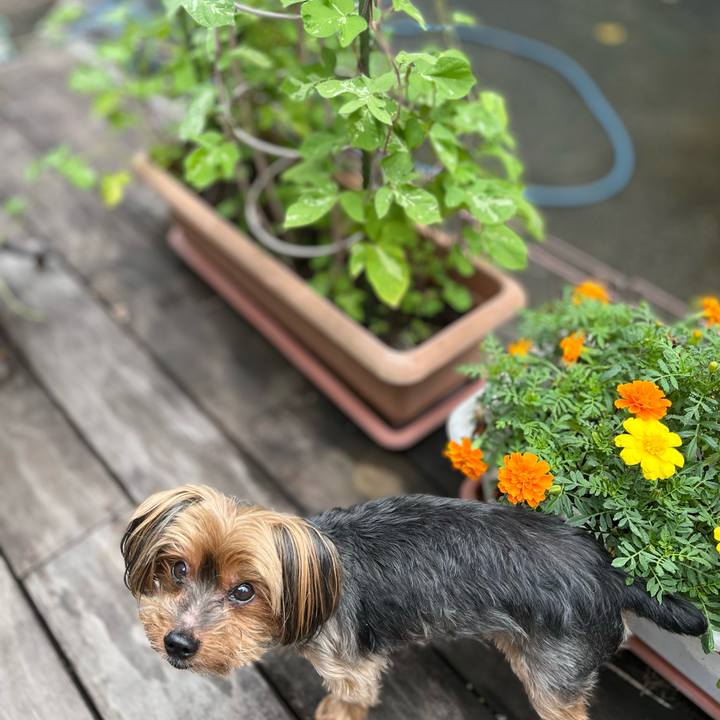 65a51eb0 388d 4c54 94ce 50091798d751 1658022842262