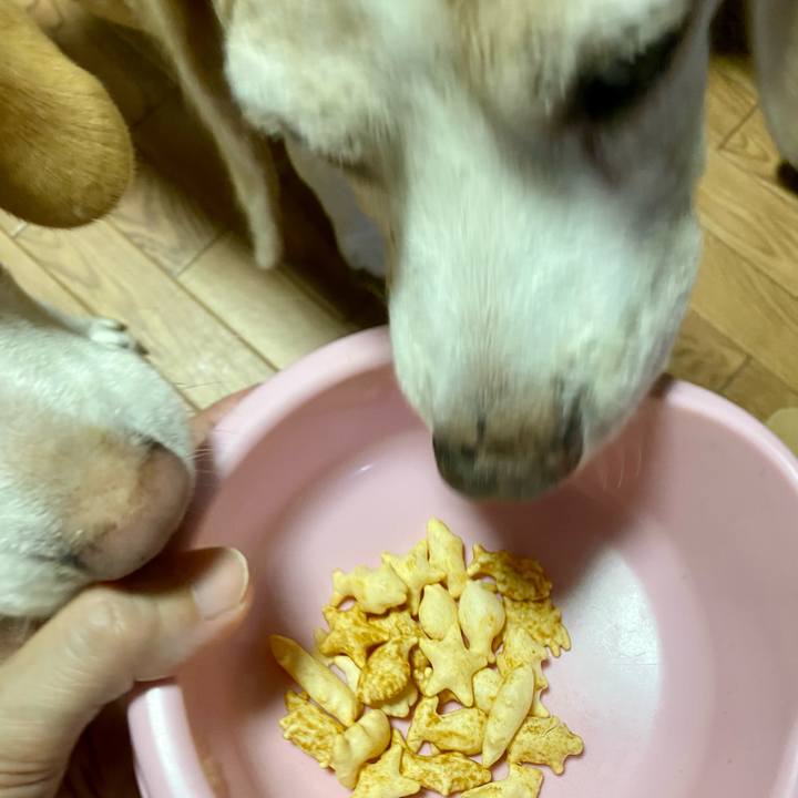 65a5439f aed9 49c8 9214 257e7b25d5fc 1626352557092