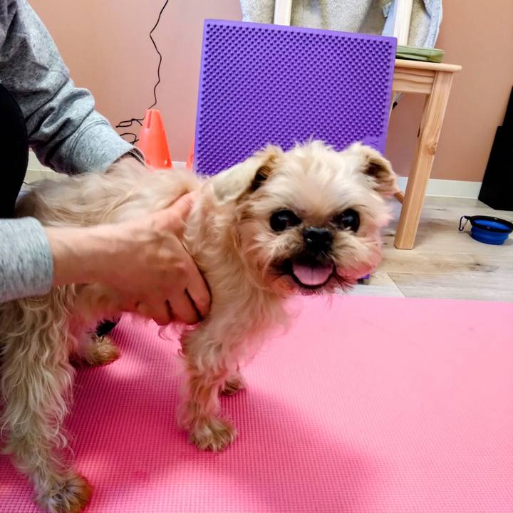 65a55177 e2b1 4c45 b986 ba66bb5038bf 1704792723817