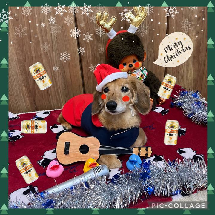 65a560c4 481f 46c5 8b69 88a0f0688670 1639920141788