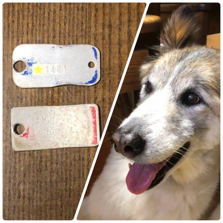 65a580ff a259 47ee a1a1 2b7da9e8b245 1579472198061