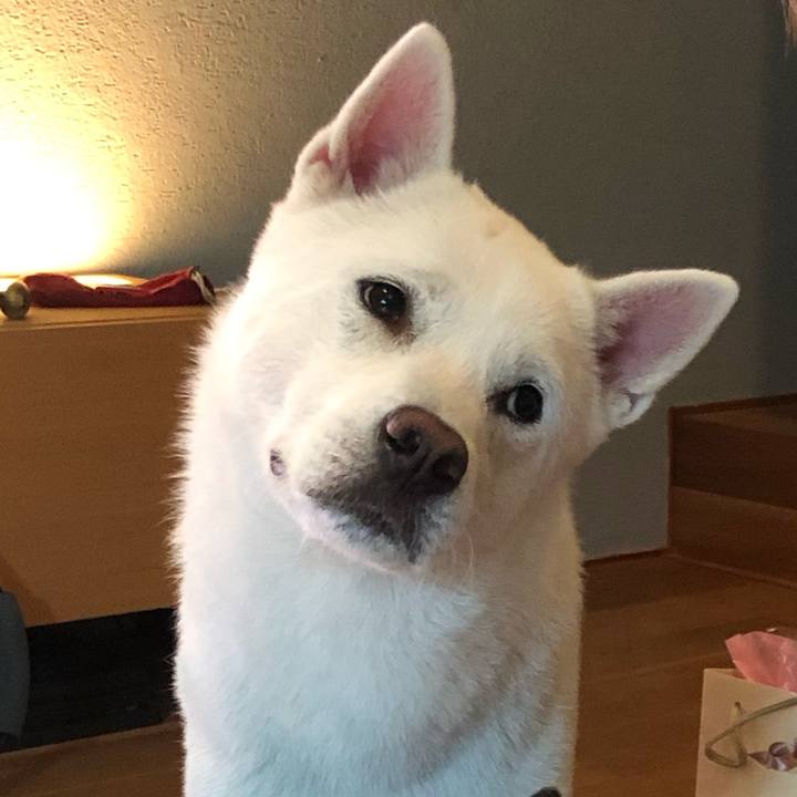 65a5823f a816 4127 b397 7c3d19f53a37 1604672920191