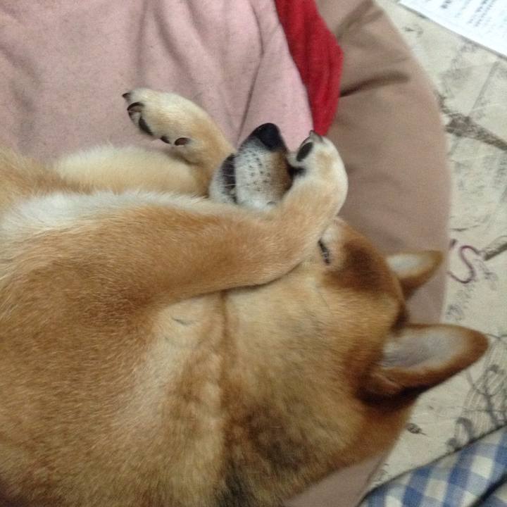 65a59932 ec27 41c4 9091 692cc430d609 1524535135978