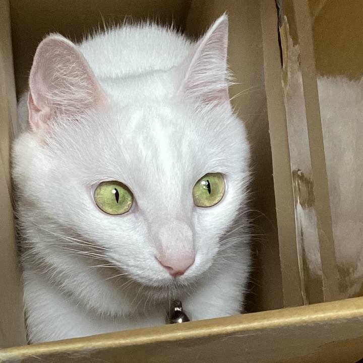 65a59f7d f0a4 42c7 963f 5c8fcc09ab8a 1709188841643