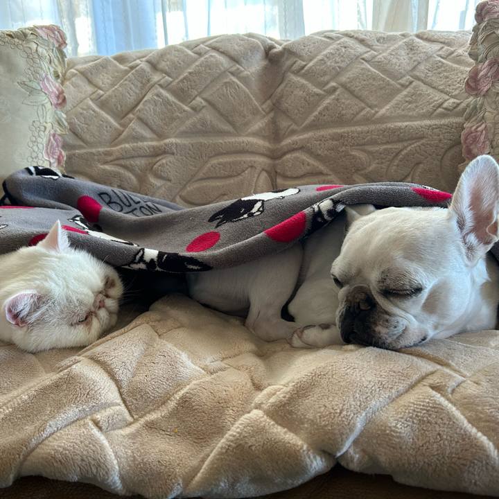 65a5cfee ed06 4221 a35e edc6097bbe8d 1700132840244