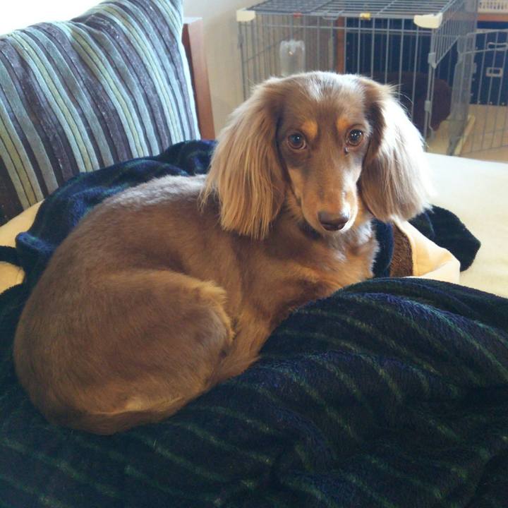 65a60732 3528 41c6 8762 8e4bc05c8ca3 1511661316402