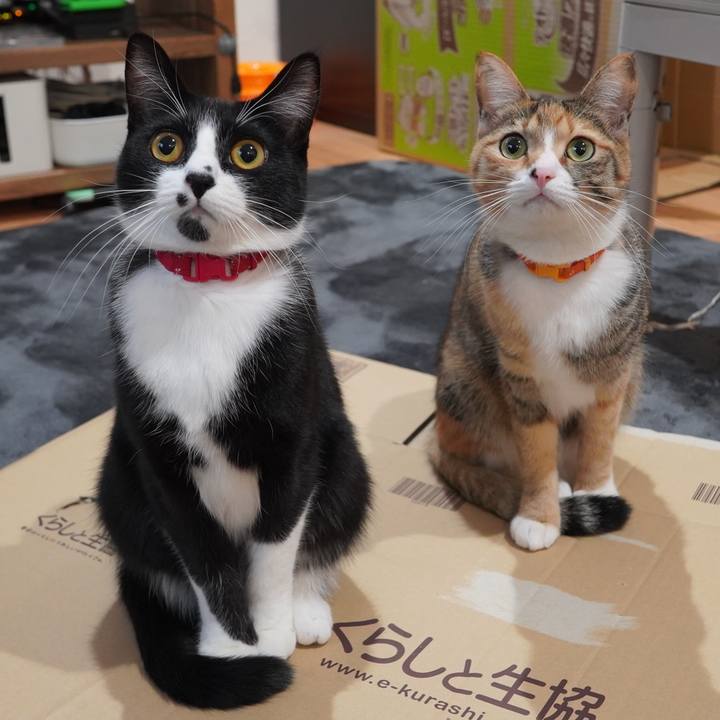 65a62b17 3b8f 48fd 9355 e7be04a50cd0 1611577278865