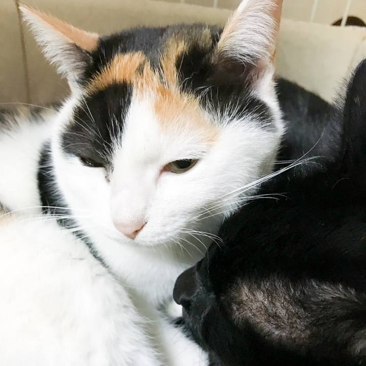 65a63972 d9ec 426d a8ca e5dd9b0b17a2 1517993121101