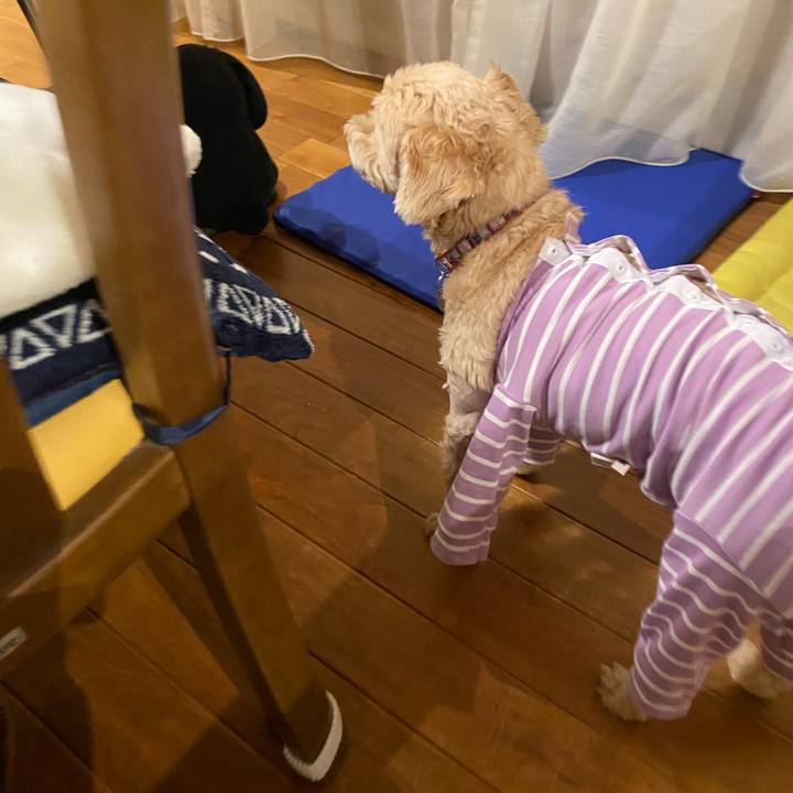 65a64118 00b2 4df8 baf5 b32db27da3cc 1632986440429