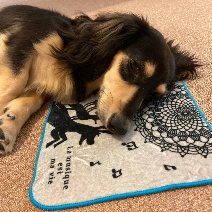 65a68f36 7317 413c 9f76 b82aa6a55bb5 1689217641438