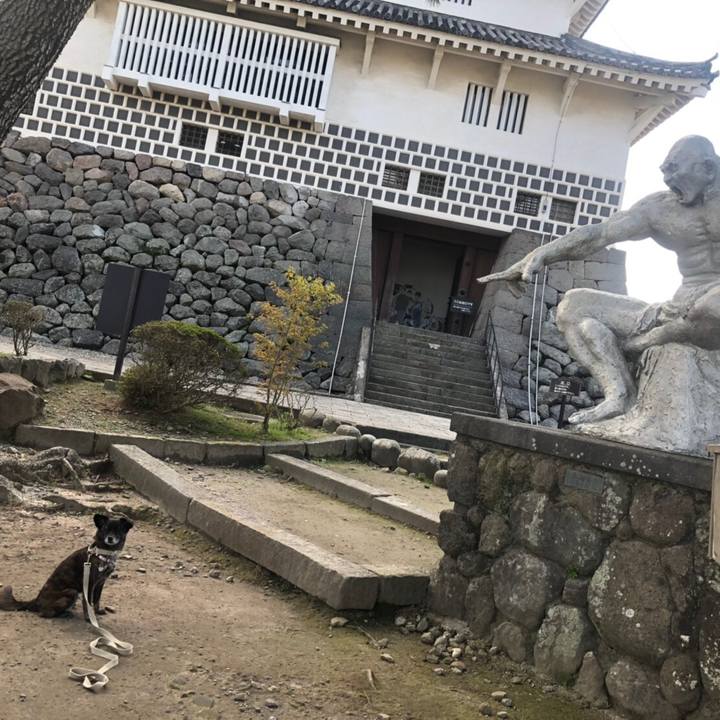 65a68f59 2649 4ea3 b04c eeac43cb1f91 1554907037183