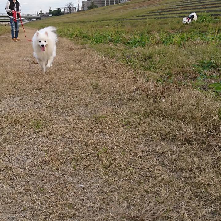 65a6ab4d 2db1 4ae2 aab8 801d1099c23a 1576306586651