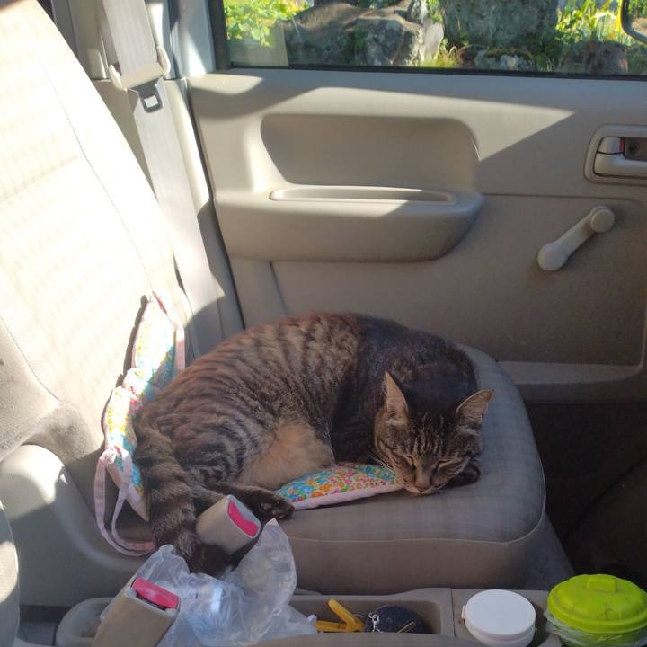 65a6b2bf 4bff 4f1e 9e37 19959d384bf2 1754557134496