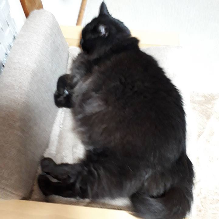 65a6c578 e5c9 4858 b6c7 3c35c1b06639 1520935499140