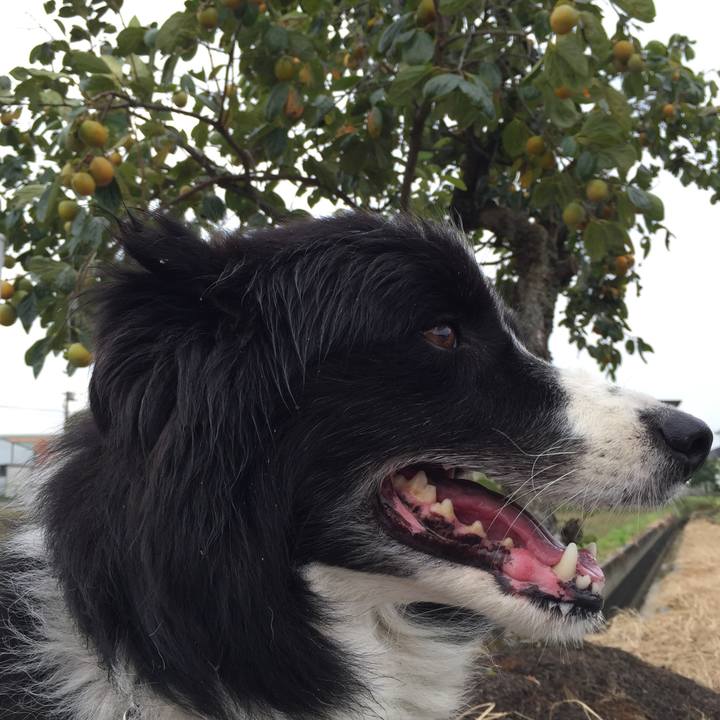 65a6fd0c 3a3e 4dd0 a048 2fa760143512 1538613936101