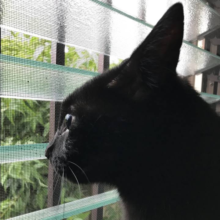 65a71f6c b123 4853 a1b9 9554dbbbe598 1536370889407