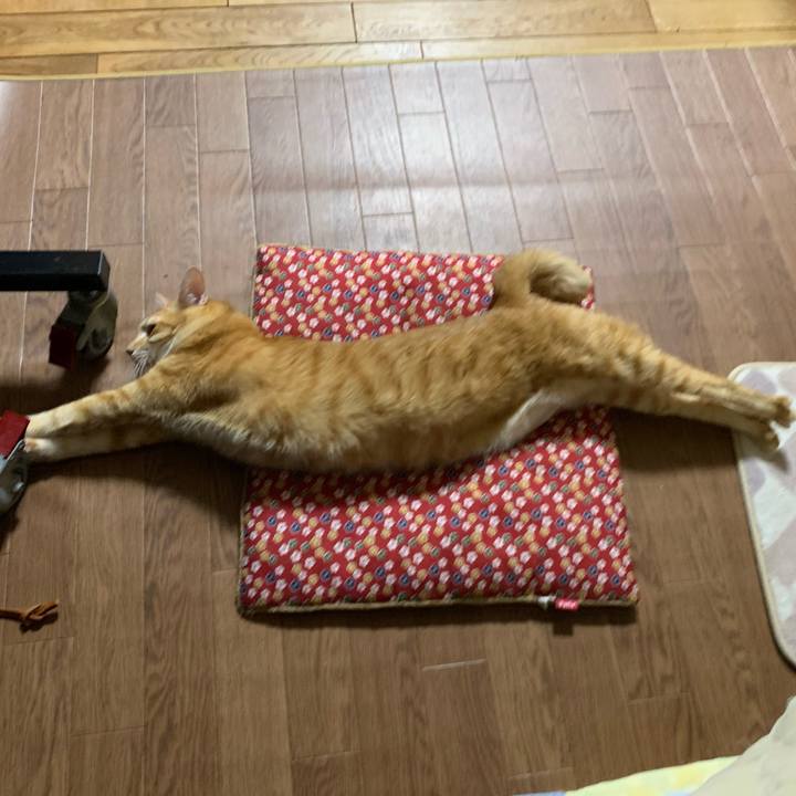 65a72cf6 6301 458c a4bf 0c7549f4fb75 1609767315803