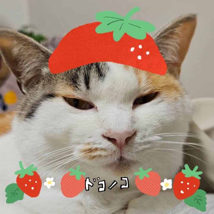 65a72dda cf23 4de8 919f 5792fb76f0a8 1775221445822