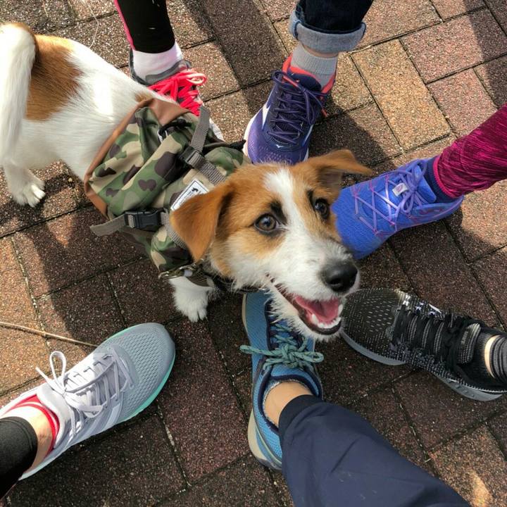 65a72f93 ce53 4079 859f f5a9cb9ff43f 1539697087506