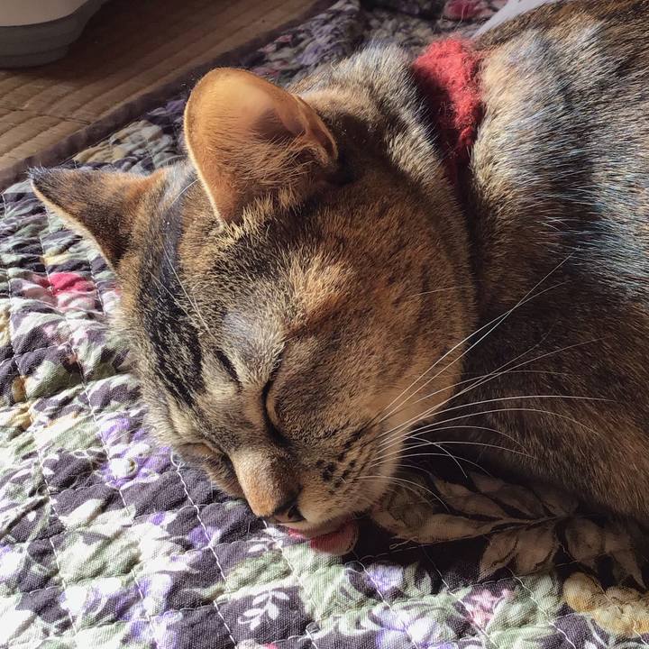 65a7462f 36c7 4a7b 9ad0 e2ff9ca6c889 1639968576391