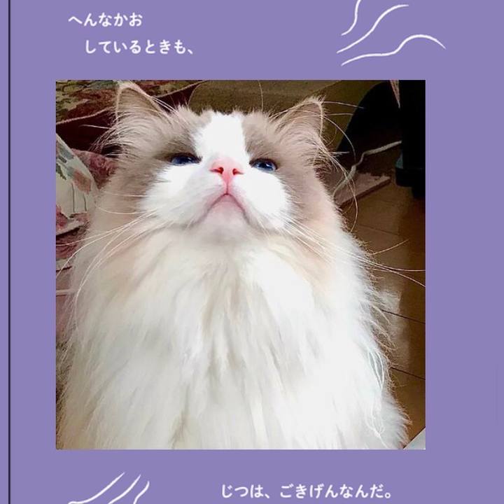 65a77ae1 07dd 45d3 abbd baaeace30d65 1622275058479