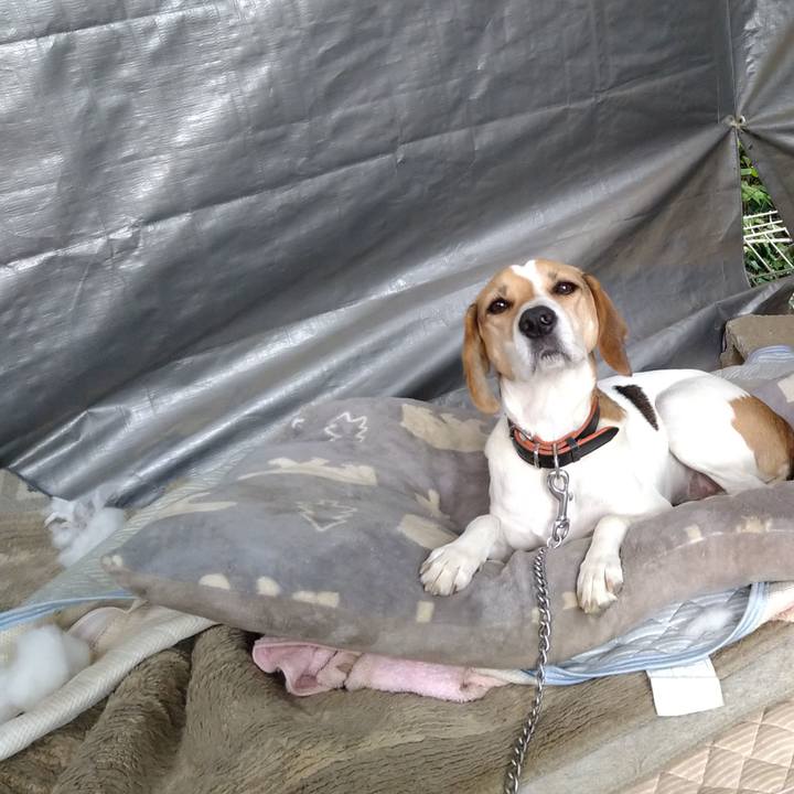 65a795ec d23e 48b3 bc92 7329ca860e64 1634626691364