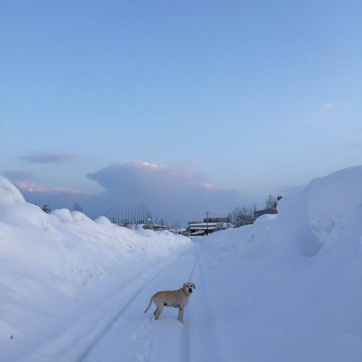 65a7ae25 8913 4b1f b1c0 d48cdeb43120 1706093721026