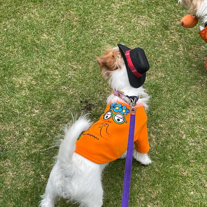 65a7b4ce f50f 4e7f 8538 f010a7cc0034 1761315248976