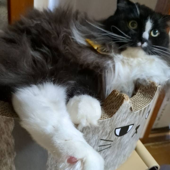 65a7f522 de81 4d0a 9100 01040ea3f17a 1694387185391