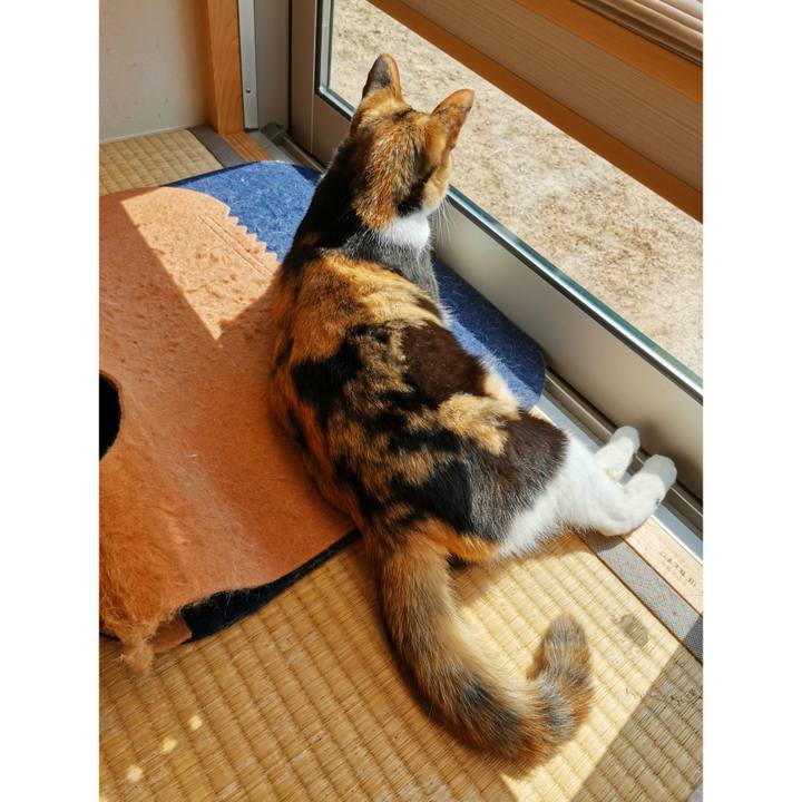 65a814b8 fbf8 4126 a2a0 5f31db843bdb 1653797980726