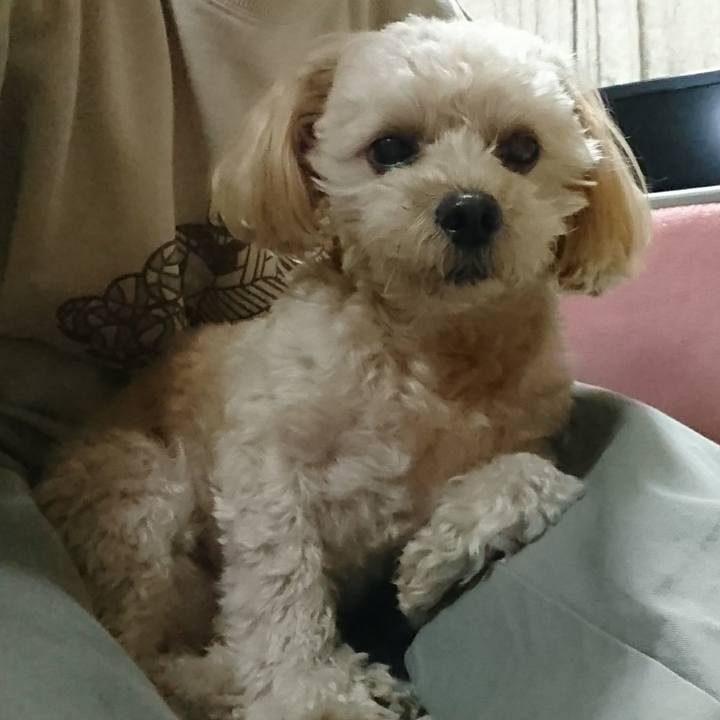 65a903a2 3acd 4954 ae72 937ab2ecd3de 1511683641900