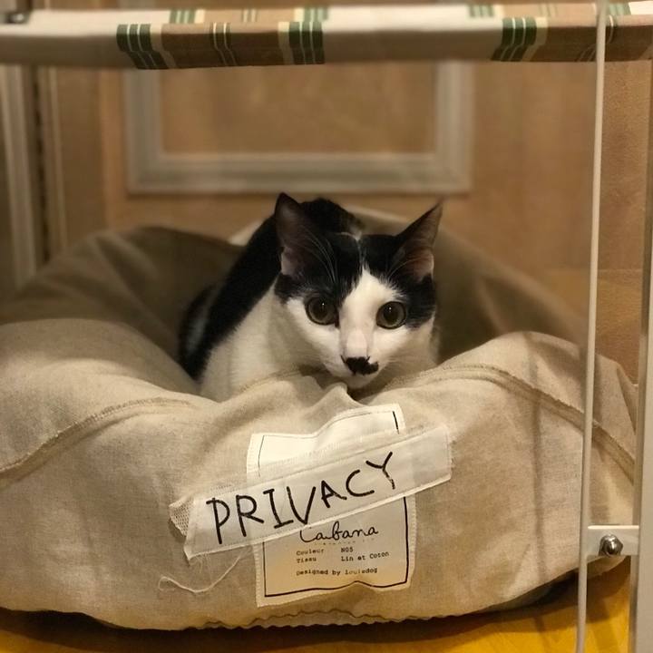 65a910ce 302d 442d be0c 782f9a439b23 1507991900372