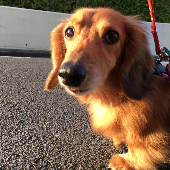 65a93bf6 c175 4c8b b3b5 a5820ee423a8 1588330463448