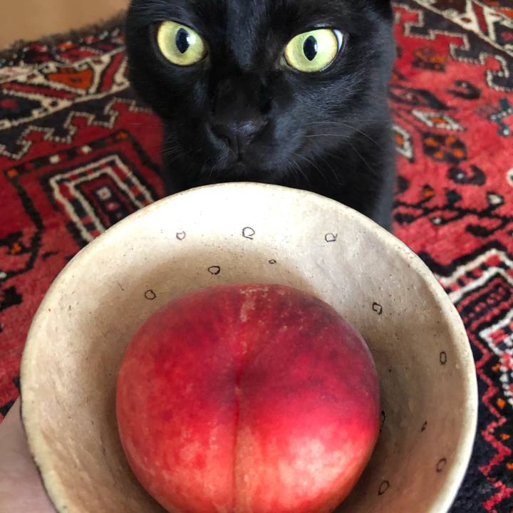 65a98cb7 ba63 404f 9b91 369b4a21ed92 1566173352805