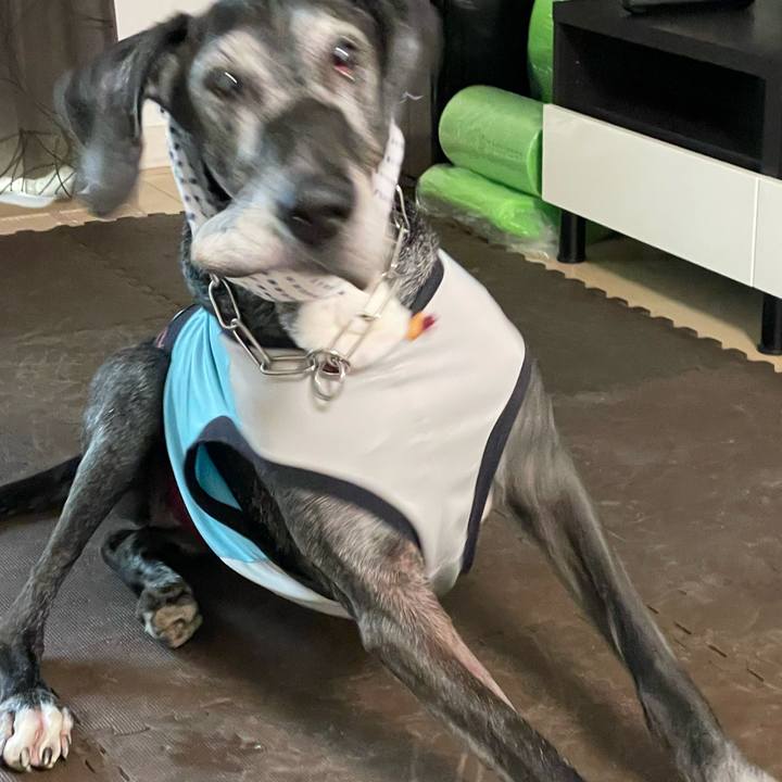 65a9997b 209a 4677 b9b7 45d34bec8239 1657837695375