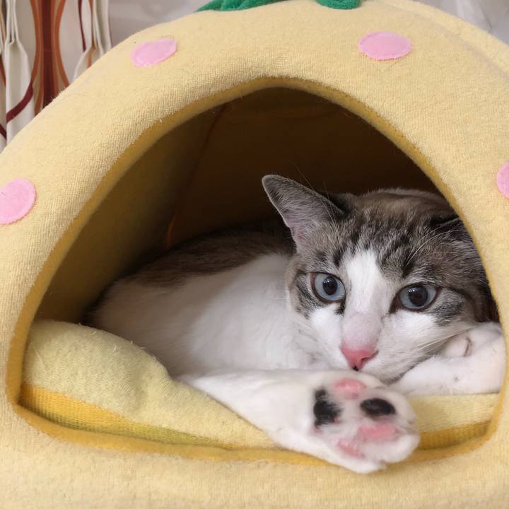 65a999bf 642a 42ba 8787 b7c5a167256b 1548676256170