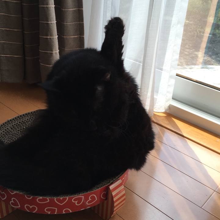 65a9ba13 b5d7 467c b521 7039b45f5c39 1536889309258