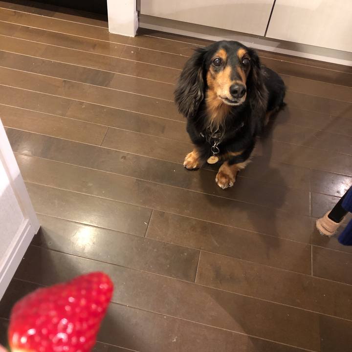 65a9c440 8b82 43c9 844b b53d05caf9f3 1551791510308