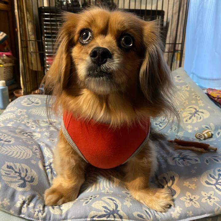 65a9d0eb a0c8 4f69 ac90 93f8c8b9a519 1609884559448