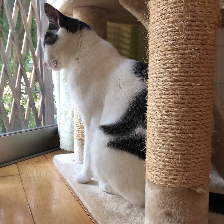 65a9ea61 89f9 4e5d 8474 1e2638745775 1656622830446