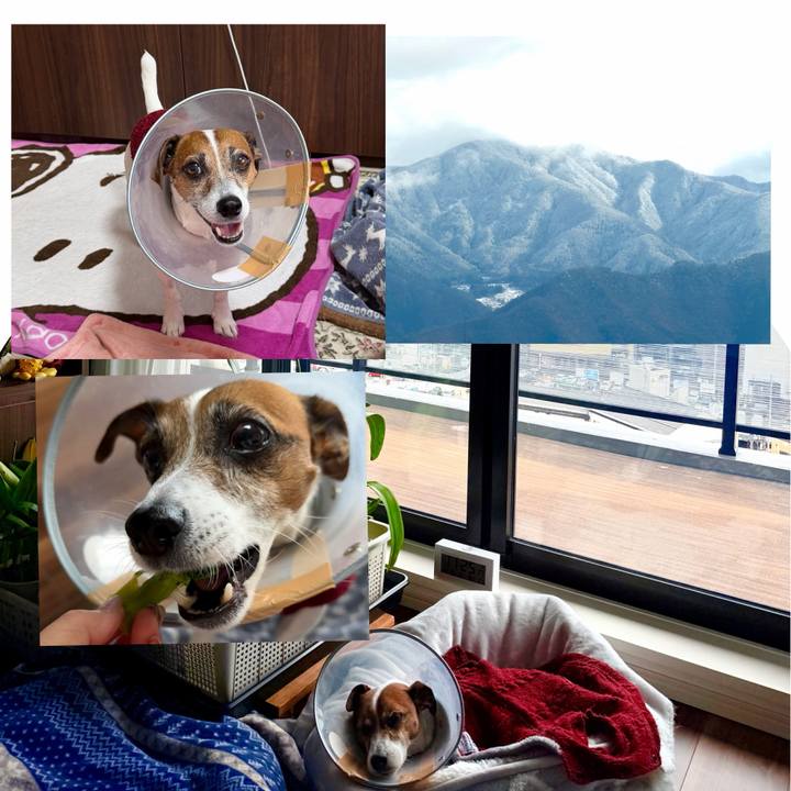 65a9eb7b 96e3 4bb7 9b28 42b5edad481d 1765767787139