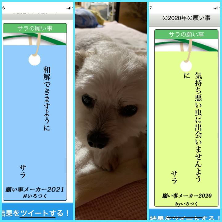 65a9f114 79ce 4192 a642 b9adb4a16cd2 1625577638336