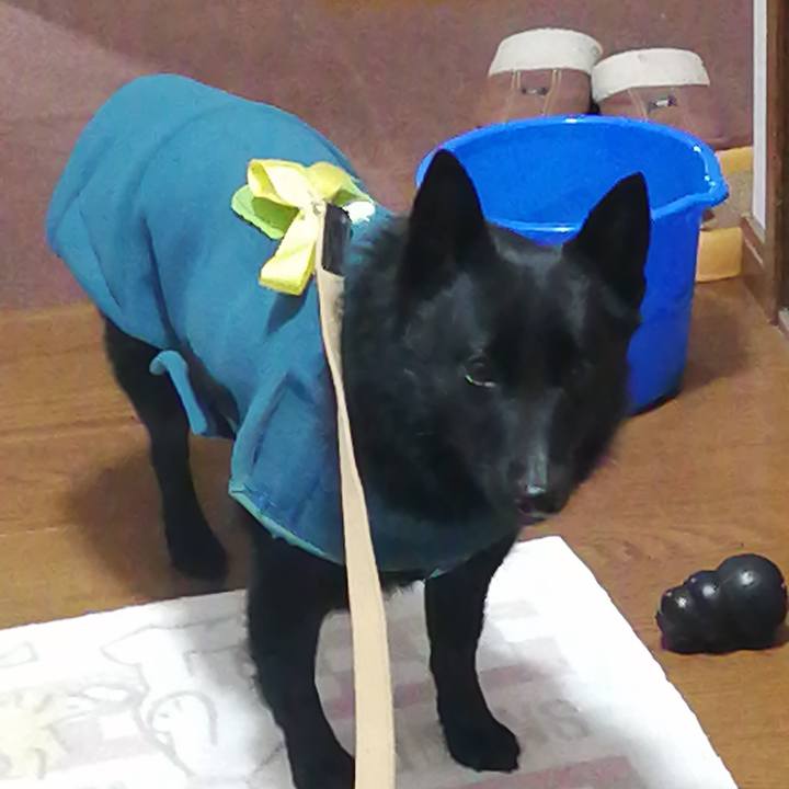 65aa118e 72c7 4ad1 9b16 57abdb2756d0 1642895516524